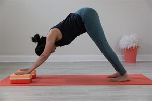 A woman posing with yoga blocks